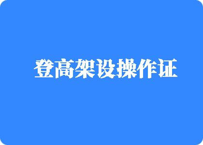 骚逼出水登高架设操作证